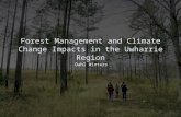 Forest Management and Climate Change Impacts in the Uwharrie Region Dahl Winters.