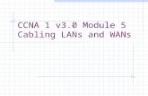 CCNA 1 v3.0 Module 5 Cabling LANs and WANs. Purpose of This PowerPoint This PowerPoint primarily consists of the Target Indicators (TIs) of this module.
