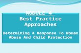 MODULE 4 Best Practice Approaches Determining A Response To Woman Abuse And Child Protection 1.