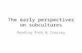 The early perspectives on subcultures Reading Park & Cressey.