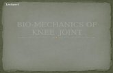 Lecture-1. At the end of this lecture the student should be able to: Describe basic characteristics of the knee joint Identify structural adaptation.