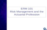 ERM 101 Risk Management and the Actuarial Profession.