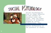 1 Social Psychologists look at human behavior in the context of societal rules and norms. They see human behavior as primarily shaped by social interactions.