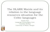 The BLARK Matrix and its relation to the language resources situation for the Celtic languages Delyth Prys Language Technologies Unit, Canolfan Bedwyr.