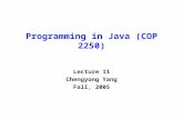 Programming in Java (COP 2250) Lecture 11 Chengyong Yang Fall, 2005.