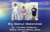 Big Walnut Watershed By : Caroline Oldstone – Moore, Devina Mehta, Jillian Frost.