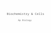 Biochemistry & Cells Ap Biology. Atoms ________ are the basic unit of all matter. An atom consists of 3 subatomic particles: –The ________ which has a.