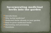 Incorporating medicinal herbs into the garden Introductions Why herbal medicine? Medicinal herbs already in your garden Easy-to-grow medicinal herbs Harvesting.