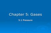 Chapter 5: Gases 5.1 Pressure. Gaseous State of Matter  has no distinct or __________ so fills any container  is easily compressed  completely with.