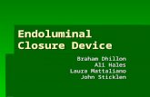 Endoluminal Closure Device Braham Dhillon Ali Hales Laura Mattaliano John Sticklen.