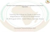 Overview on AUC Frameworks on Services and Implications on CFTA- Services Negotiations Training Workshop on Trade in Services Negotiations for AU-CFTA.