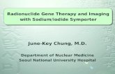June-Key Chung, M.D. Department of Nuclear Medicine Seoul National University Hospital Radionuclide Gene Therapy and Imaging with Sodium/iodide Symporter.
