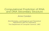Computational Prediction of RNA and DNA Secondary Structure Anne Condon Bioinformatics, and Empirical and Theoretical Algorithmics (BETA) Laboratory The.
