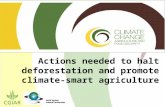 Actions needed to halt deforestation and promote climate-smart agriculture.