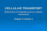 CELLULAR TRANSPORT ( Movement of materials across a cellular membrane) Chapter 8, Section 1.