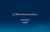 Chromosomes Genetics2005. Chromosomal Anomalies Cytogenetics  The subdivision of genetics that focuses on chromosomes and cell division  Abnormal cell.