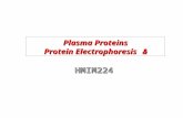HMIM224 Plasma Proteins & Protein Electrophoresis
