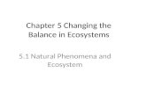Chapter 5 Changing the Balance in Ecosystems 5.1 Natural Phenomena and Ecosystem.