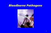 1 Bloodborne Pathogens. 2 Introduction u Approximately 5.6 million workers in health care and other facilities are at risk of exposure to bloodborne pathogens.