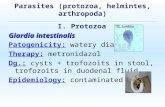 Parasites (protozoa, helmintes, arthropoda) I. Protozoa Giardia intestinalis Patogenicity: watery diarrhea Therapy: metronidazol Dg.: cysts + trofozoits.