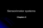 Sensorimotor systems Chapters 8. Three principles of sensorimotor function hierarchical organization hierarchical organization Two other organizing.