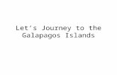 Let’s Journey to the Galapagos Islands. What can weigh up to 700 pounds, live up to 188 years and can be ridden like a horse?
