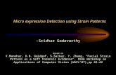Micro expression Detection using Strain Patterns - Sridhar Godavarthy Based on V.Manohar, D.B. Goldgof, S.Sarkar, Y. Zhang, "Facial Strain Pattern as a.