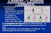 Autosomal Dominant Inheritance Autosomal dominant inheritance occurs when one copy of an allele is sufficient for expression of a trait and the gene is.