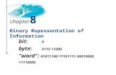 Binary Representation of Information bit: 0 byte: 0110 11000 "word": 01011100 11101111 00010000 11110000 chapter 8.