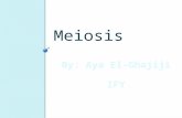 Meiosis. Meiosis Human body cells have 46 chromosomes. Each parent contributes 23 chromosomes. It produces sex cells (gametes): egg and sperm. One cell.