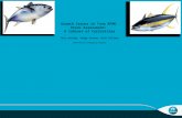 Growth Issues in Tuna RFMO Stock Assessment: A Cabinet of Curiosities Dale Kolody, Paige Eveson, Rich Hillary CSIRO Oceans & Atmosphere Flagship.