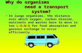 Why do organisms need a transport system? In large organisms, the distance over which oxygen, carbon dioxide, nutrients and wastes have to move is too.