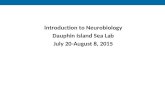 Introduction to Neurobiology Dauphin Island Sea Lab July 20-August 8, 2015.