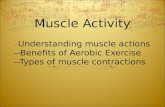 Muscle Activity -- Understanding muscle actions --Benefits of Aerobic Exercise --Types of muscle contractions.