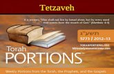 Tetzaveh biblestudyresourcecenter.com. Purim Sunday February 24 th 2013 Union Church Quincy 1:00 PM.