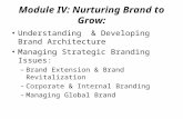 Module IV: Nurturing Brand to Grow: Understanding & Developing Brand Architecture Managing Strategic Branding Issues: –Brand Extension & Brand Revitalization.