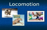 Locomotion. Locomotion: The act or power of moving from place to place.