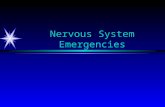 Nervous System Emergencies Nervous System A & P ä Nervous System Basics ä The body’s control system ä Exerts control through electrochemical impulses.