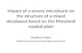 Impact of a severe microburst on the structure of a mixed deciduous forest on the Maryland coastal plain Geoffrey Parker Smithsonian Environmental Research.