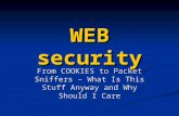 WEB security From COOKIES to Packet Sniffers – What Is This Stuff Anyway and Why Should I Care.