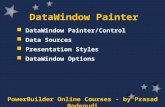 PowerBuilder Online Courses - by Prasad Bodepudi DataWindow Painter DataWindow Painter/Control Data Sources Presentation Styles DataWindow Options.