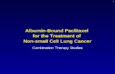 1 Albumin-Bound Paclitaxel for the Treatment of Non-small Cell Lung Cancer Combination Therapy Studies.