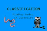 CLASSIFICATION Finding Order in Diversity. TAXONOMY Discipline of classifying organisms Assigning each organism a universally accepted name.