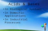 Acids & Bases In Biological Systems In Domestic Applications In Industrial Processes.