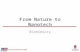 University of Wisconsin MRSEC From Nature to Nanotech Biomimicry.
