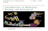 A. Shehu – CS444Introduction to Computational Biology Introduction to Molecular Biology and Biological Databases bioalgorithms.info, cnx.org, and instructors.