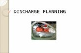 DISCHARGE PLANNING. The decision of when to discharge an infant from the hospital after a stay in the NICU is complex. made primarily on the basis of.