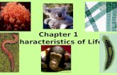 Chapter 1 Characteristics of Life. I. What is Biology? 1. The scientific study of life.