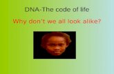 DNA-The code of life Why don’t we all look alike?.
