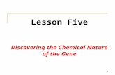1 Lesson Five Discovering the Chemical Nature of the Gene.